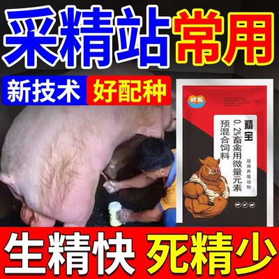 兽用精猪促孕精宝提高产仔率