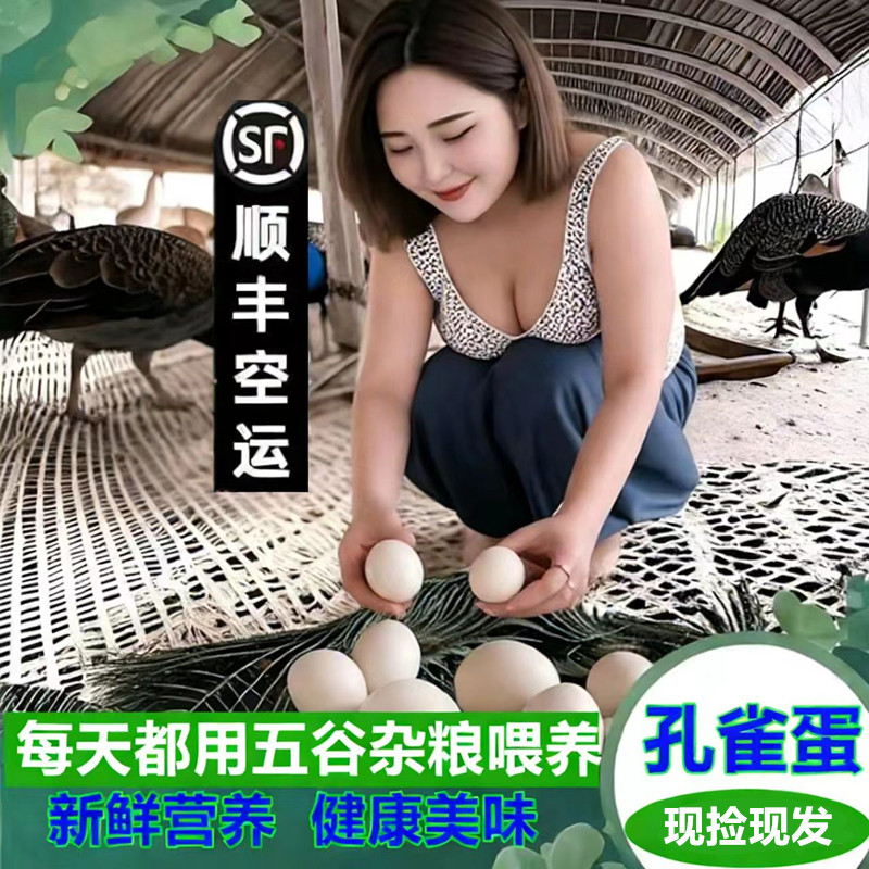 新鲜营养孔雀蛋滋补孕妇宝宝
