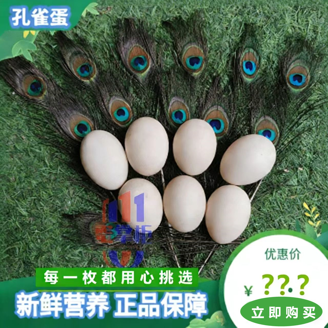 孔雀蛋新鲜食用富硒营养孕妇月子聪明宝宝农村散养凤凰蛋现捡现发