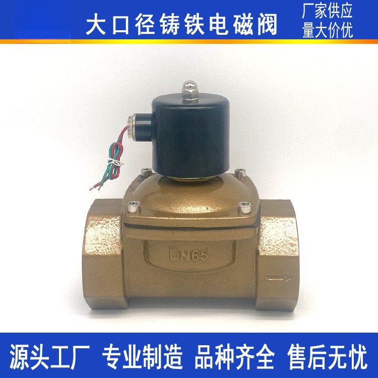 常闭电磁阀2W-65螺纹铸铁阀体气阀DN65DN80DN100大口径水阀AC220V