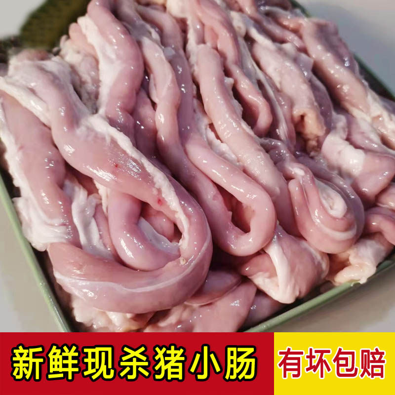 新鲜猪小肠头冷冻粉肠苦肠圈圈肠生苦肠猪小肠米肠十二指肠食材