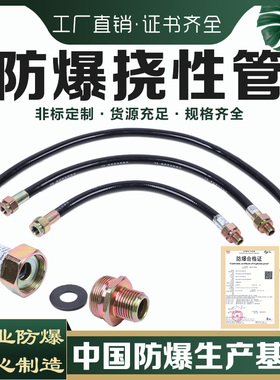 BNG防爆挠性管连接管软管4分/6分dn20电线穿线管定制接线管钢丝管