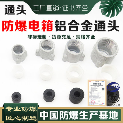 防爆配电箱接头通头4分6分进出线口引入装置穿板接头压紧铁螺配件