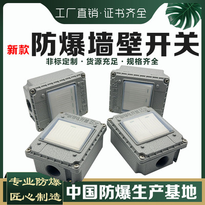 防爆墙壁开关220V10A明装暗装86型金属单联双控工业插座工厂插座