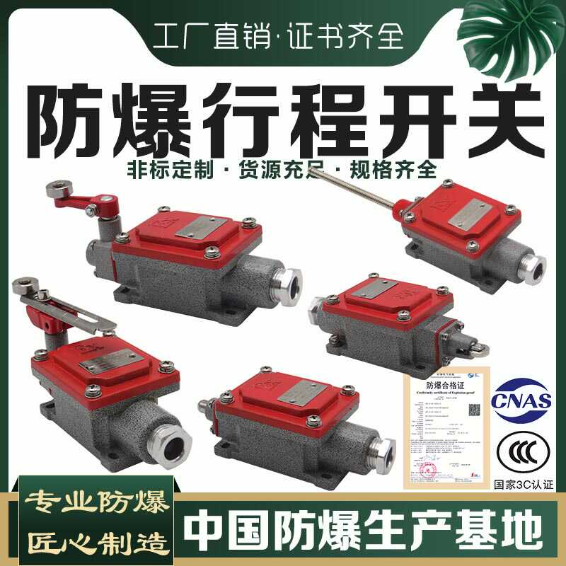 防爆行程开关LX5DLXK限位