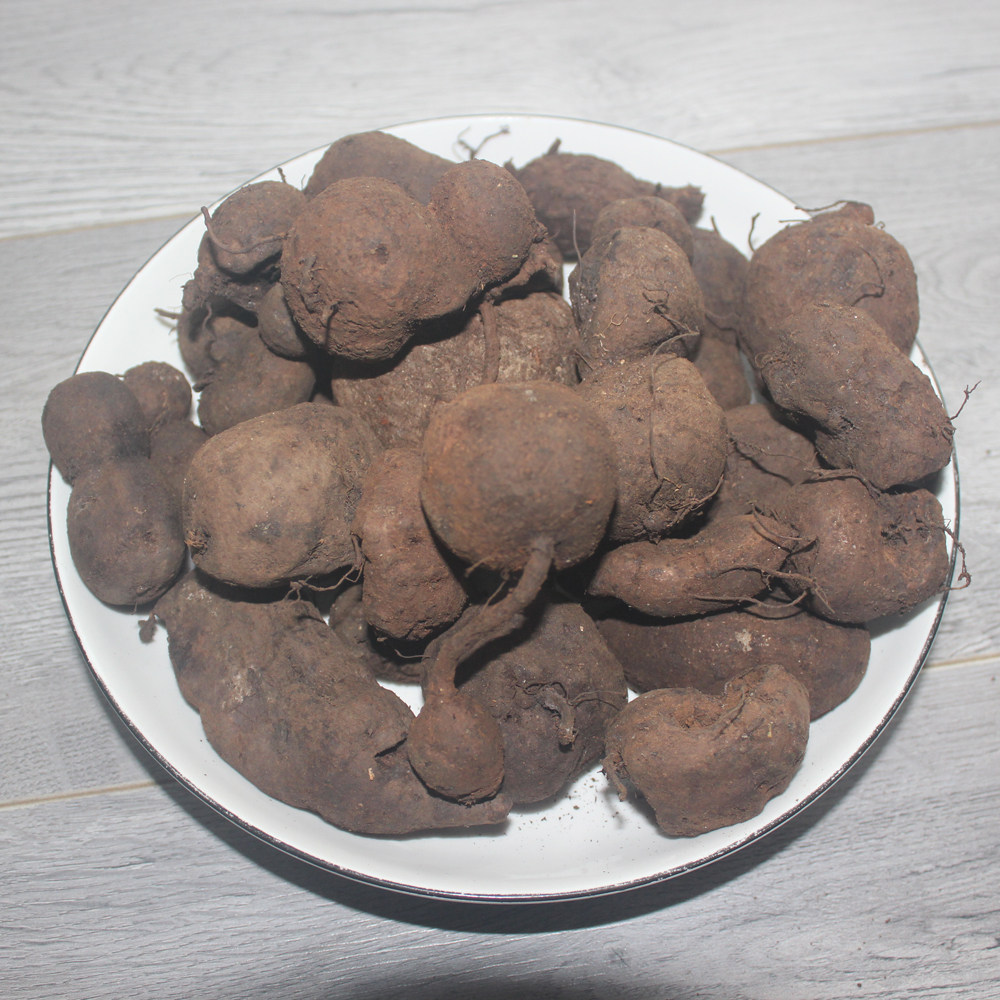 广西新鲜野生三叶青中药材石老鼠金线吊葫芦正品东破石珠500g包邮