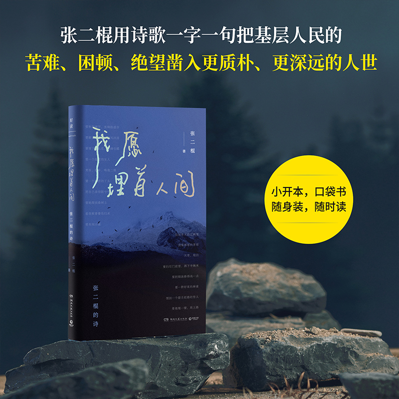 我愿埋首人间：张二棍的诗 张二棍 “地质钻探诗人”张二棍诗选，献给每一个在现实生活中摸爬滚打的人！
