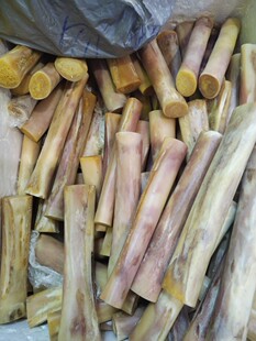 动物骆驼骨老料血料小腿骨手工雕刻原料珠子复古怀旧戒指扳指牌子