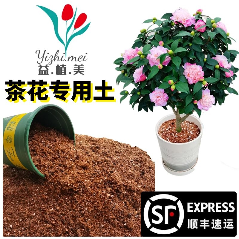 茶花专用土盆栽树苗家庭园艺花卉通用型有机营养土偏弱酸性培植土 鲜花速递/花卉仿真/绿植园艺 时令草本花卉 原图主图