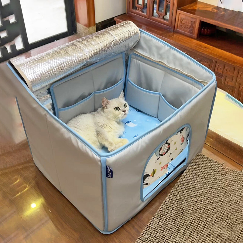 小猫连待好几个小时的猫咪冰窝