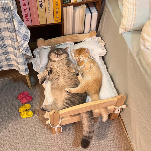 猫咪宠物小床，毛孩子的zui爱~