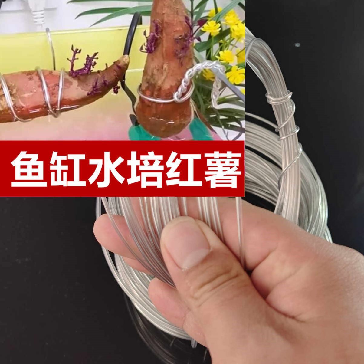 不生锈包胶铝丝鱼缸挂件水培植物红薯番薯绿萝造景缠绕固定铝线