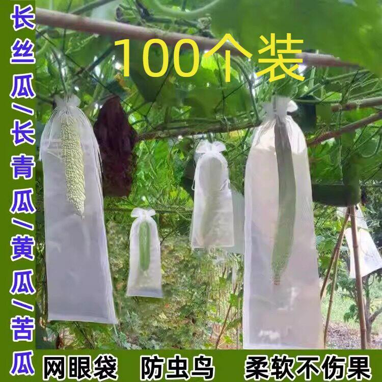 长丝瓜网眼套袋黄瓜青瓜苦瓜套袋专用袋防虫袋保护套瓜果水果瓜果