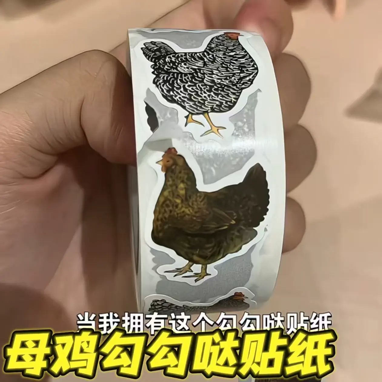 小鸡老母鸡卷卷贴勾勾哒贴纸咯咯哒可爱趣味创意桌面手账装饰贴画
