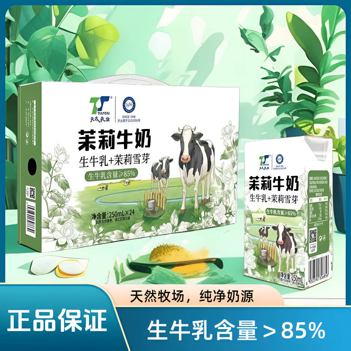 新日期天太纯牛奶250ml*24盒 茉莉椰子早餐奶儿童成人霸王同款