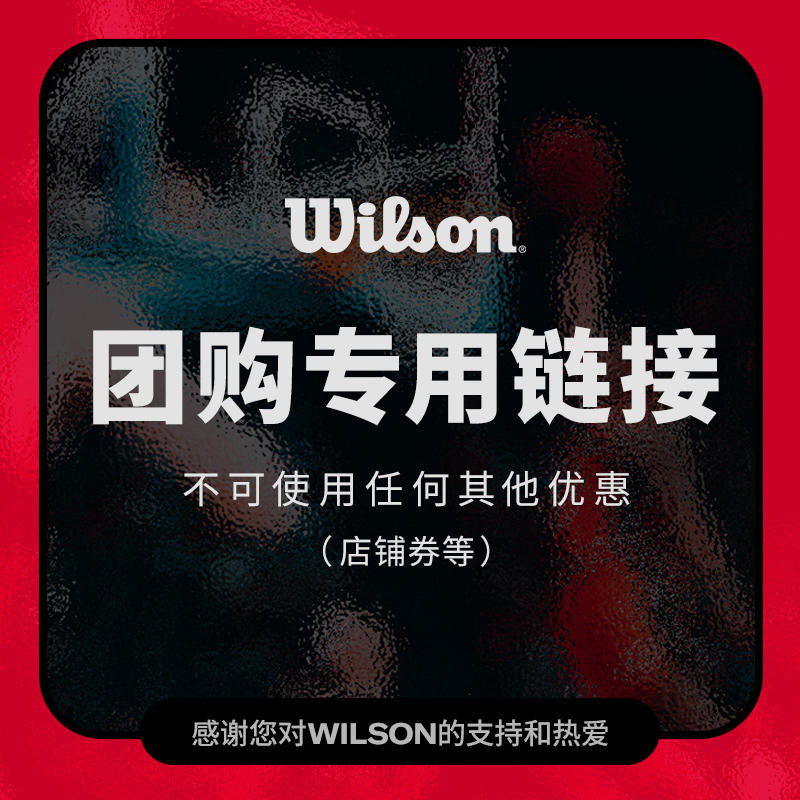 Wilson威尔胜篮球团购专用链接