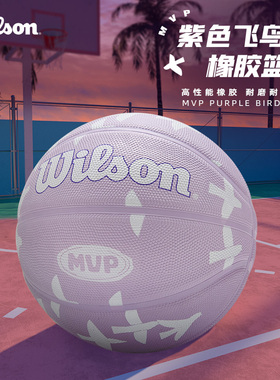 Wilson威尔胜篮球紫色飞鸟室外耐磨7号标准球5号儿童小学生专用球