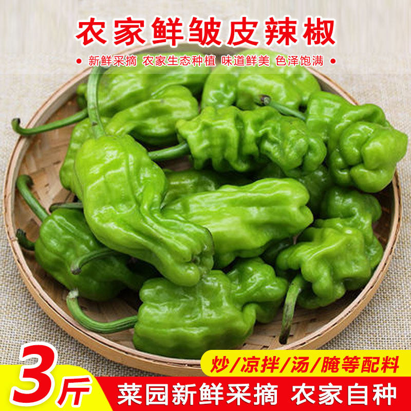 皱皮椒辣吗,皱皮辣椒辣不辣(第11页)_大山谷图库