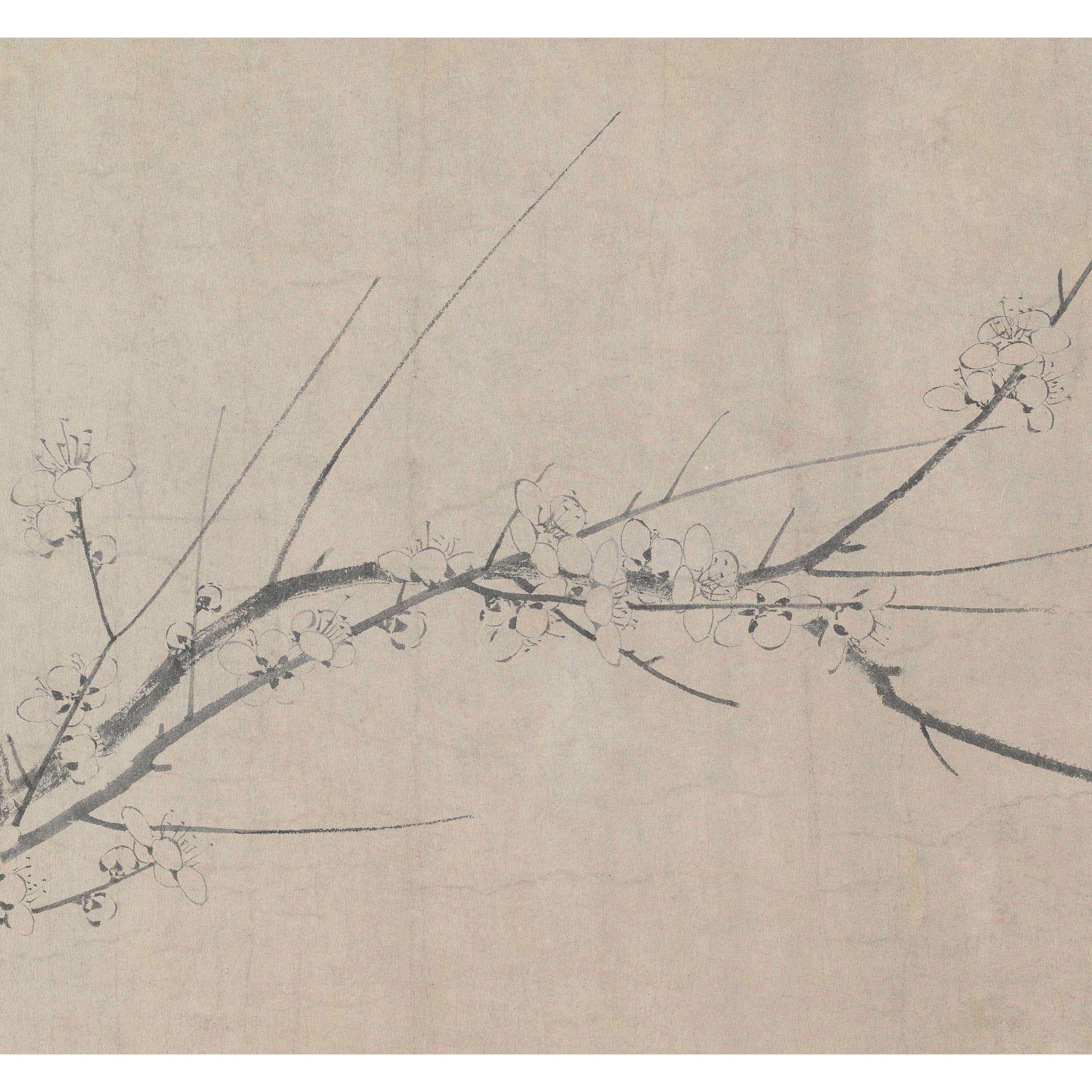 新品 南宋 扬无咎 四梅图 花卉画卷仿古字画高清微喷复制临摹范本