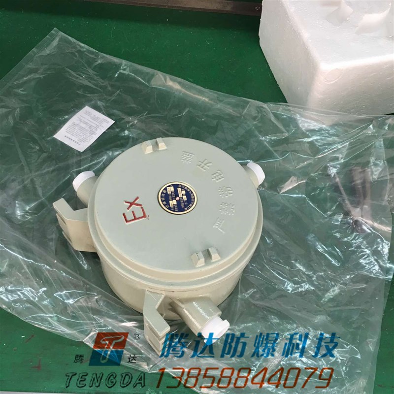 腾达70W 100w防爆t金卤灯应急电源装置 1小时应急电源