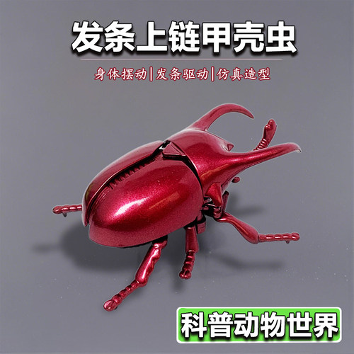 上链发条仿真甲壳虫儿童玩具