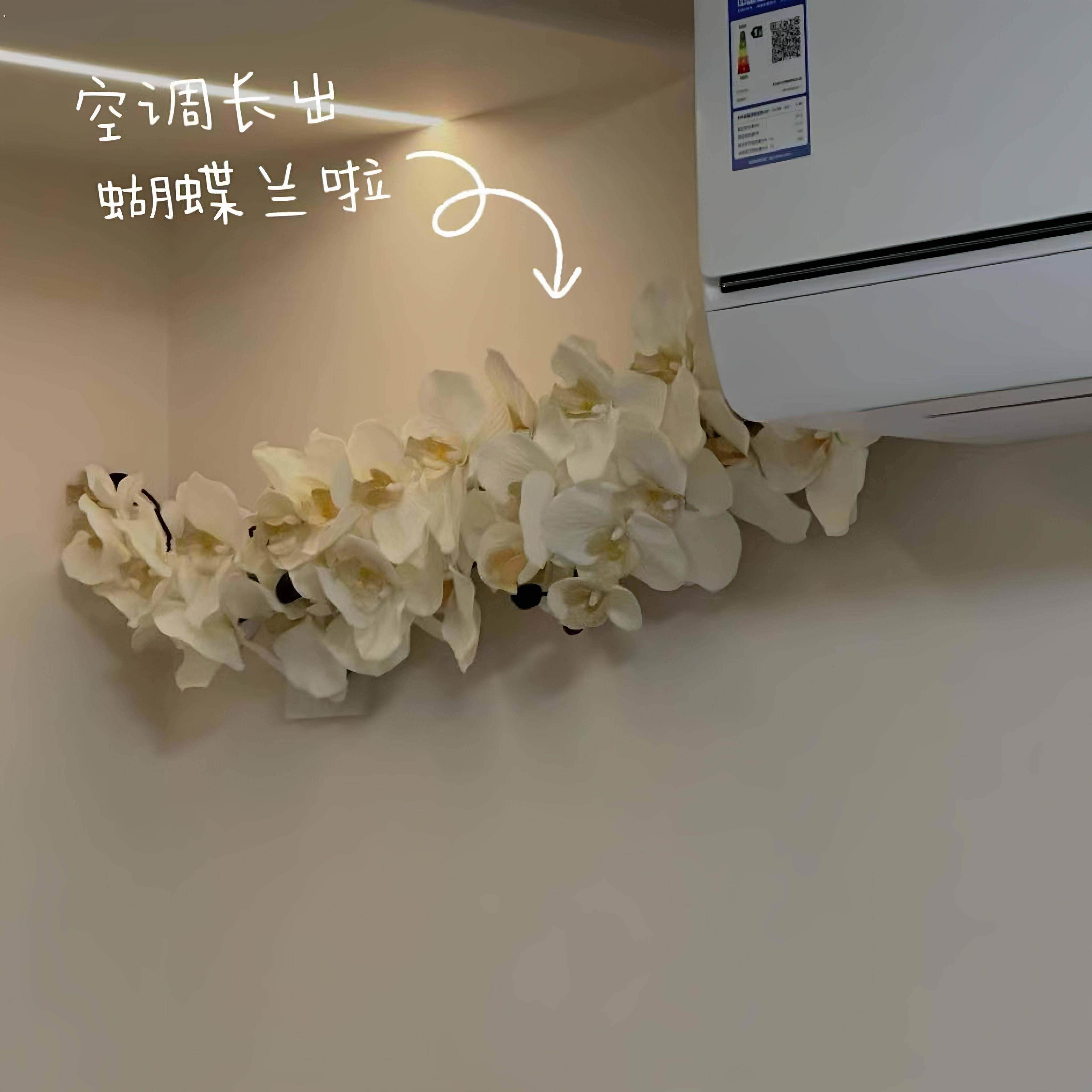 空调管长出蝴蝶兰啦！空调管装饰管道美化遮挡暖气管阳台遮丑神器