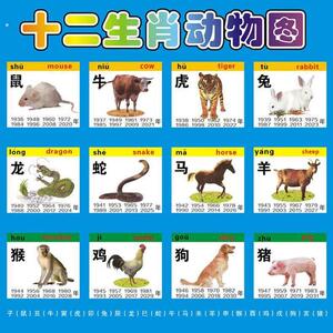 12生肖图片十二生肖动物大海报画小鼠牛虎兔龙蛇马羊猴鸡狗猪属相