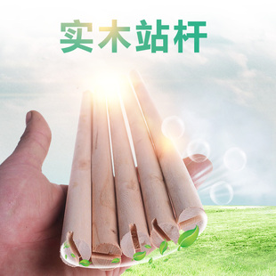 群笼鸟笼用站杆实木两端开槽鹦鹉鸟用站棍站棒魔爪棒栖杠鸟笼配件