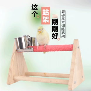 玄凤牡丹鹦鹉鸟散养花椒实木桌面站台互动游乐场用品玩具站鸟架子