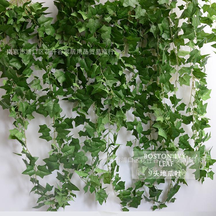 壁挂仿真植物藤条藤蔓装饰花绿植墙吊篮地瓜叶 工程装饰蔓藤花