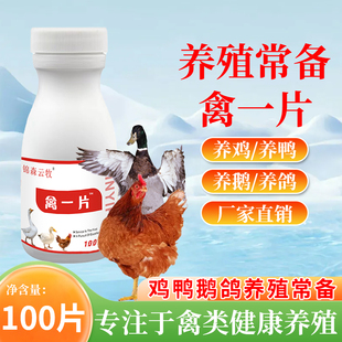 禽一片鸡鸭鹅家鸽子禽通用养殖场养鸡专用抖音视频同款锦森云牧