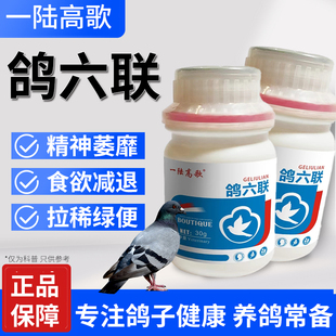 一陆高歌鸽六联鸽子零食精神萎靡拉稀绿便专用营养品正品养鸽常备