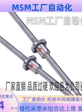 BSWE0802 BSWE1002 BTWE1204 BTWE1210 BTWE1510 BTWE1520丝杆