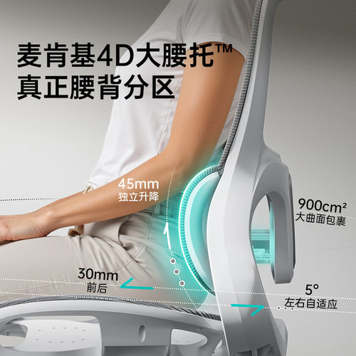 黑白调新款P2Pro+2代人体工学椅学习椅办公椅久坐舒适电脑椅P217