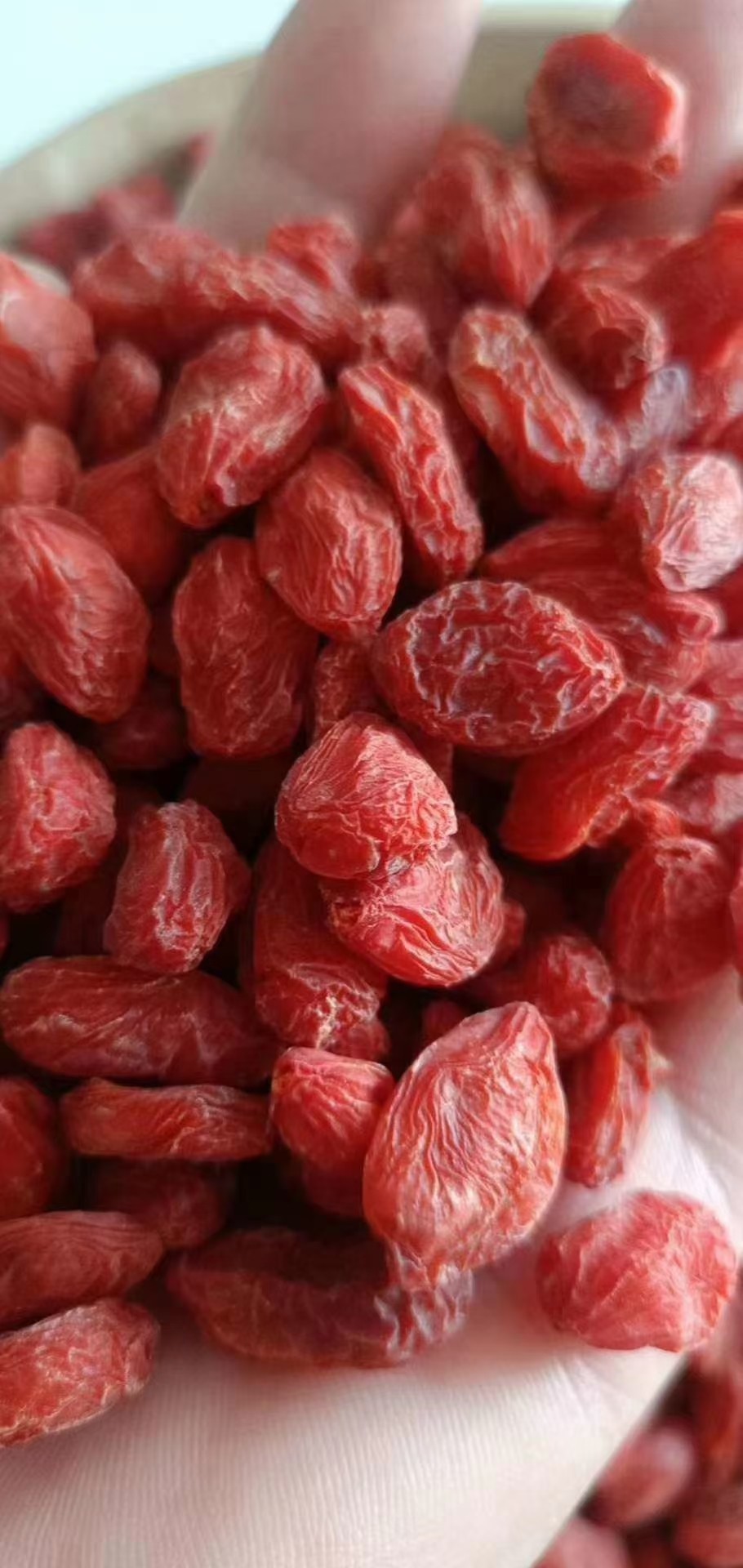 新疆尉犁县2023年头茬红枸杞子免洗无硫磺熏染可干吃包邮