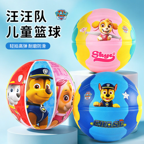 汪汪队皮球儿童篮球运动球类玩具