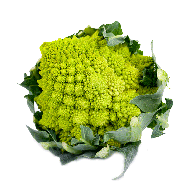 花椰菜宝塔菜种子紫西兰苔菜花高产花菜进口园艺四季种植春季耐霜