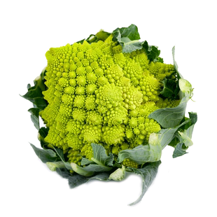 罗马宝塔菜种子 高产花椰菜花菜种籽 四季春季农家蔬菜孑