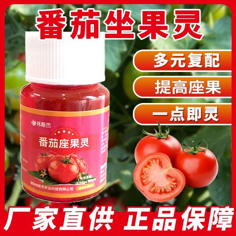 番茄座果灵坐果剂大小西红柿圣女果点花防落花专用提高座果率