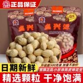 盛兴源陈皮味花生升级版 500g香脆小珍珠带壳花生零食陈皮花生 包装