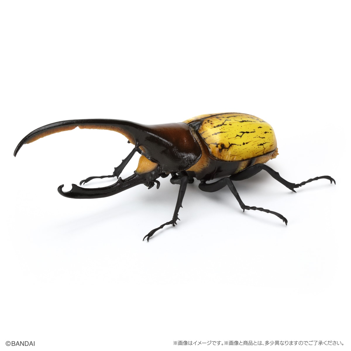 【预售定金】万代玩具生