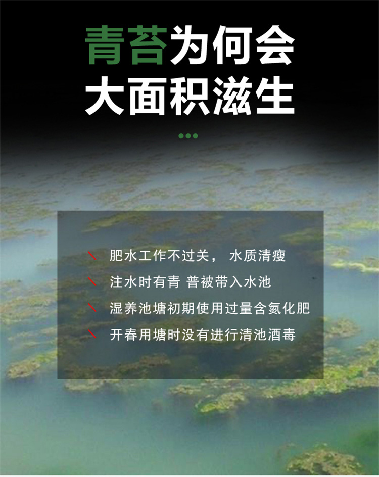 鱼池除藻剂去青苔剂池塘鱼塘分解酶清除绿藻除褐藻丝藻克星水绵净