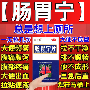 肠炎特专用效药肠道治急慢性结肠炎腹泻拉肚子药溃疡性肠胃宁片WM