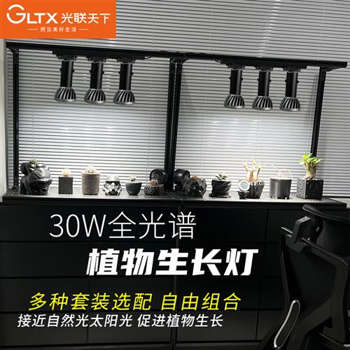 植物补光灯led轨道射灯全光谱仿自然光绿植盆栽多肉块根生长灯30W
