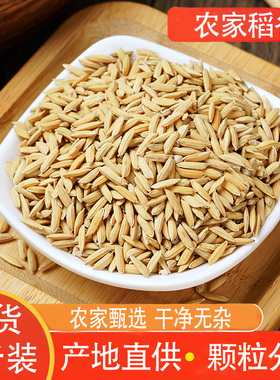 稻谷5斤农家自种带壳水稻磨米带皮大米原杂交稻谷新货包邮