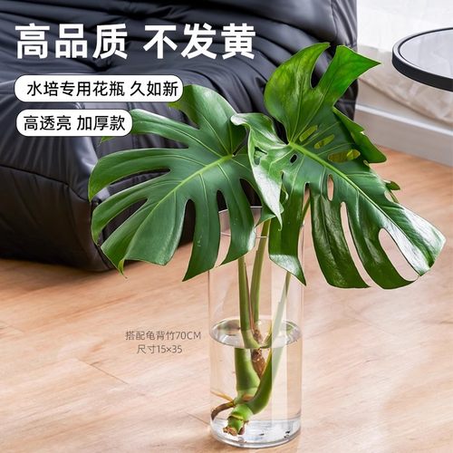 亚克力加厚透明直筒简约水培花瓶