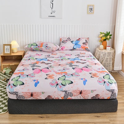 softbedshimarcovsoftb