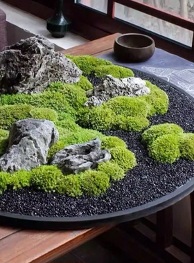 圆桌转盘中微景观假绿植摆件桌花