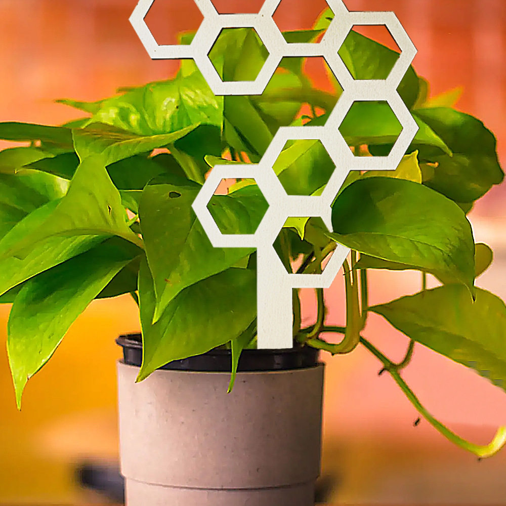 现货木制植物攀爬架蜂窝式植物装饰架木质盆栽支架绿植固定支撑杆