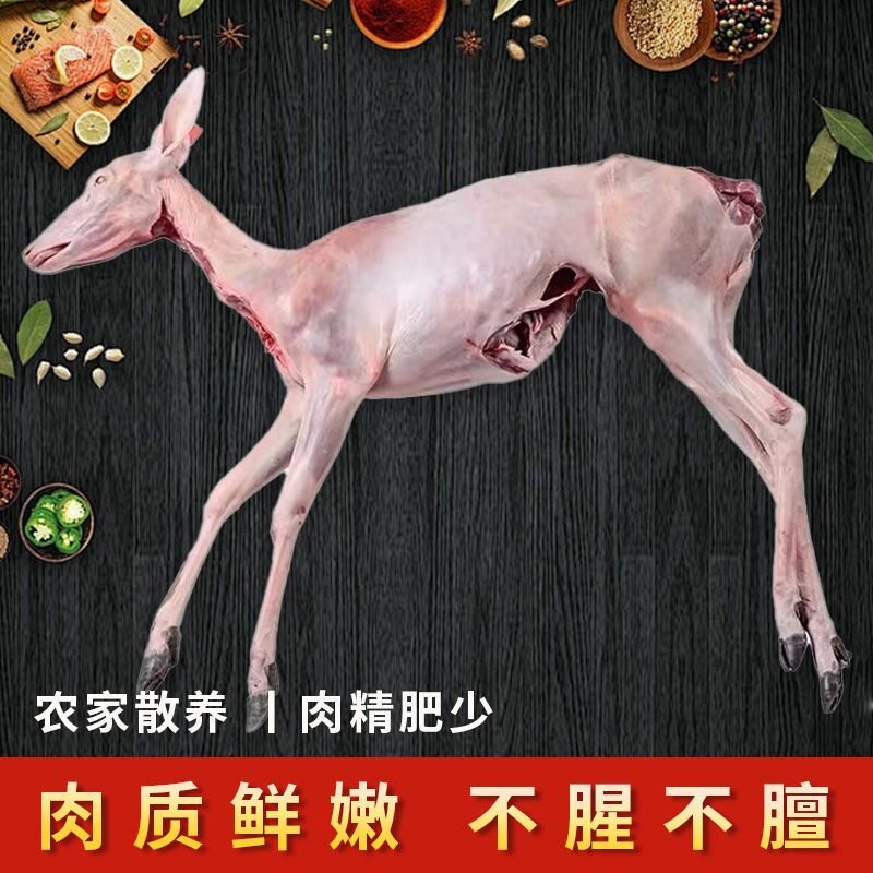 东北吉林梅花鹿肉新鲜鹿腿鹿排整只白条新鲜现杀过年送礼空运包邮